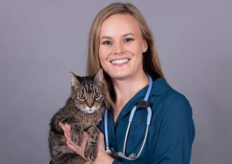 Carousel Slide 5: Cat Veterinary Care, Corcoran
